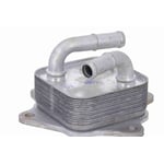 Engine Oil Cooler