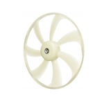 Radiator Fan