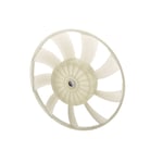 Radiator Fan