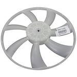 Radiator Fan