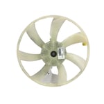 Radiator Fan