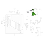 Radiator Coolant Reservoir