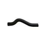 Upper Radiator Hose