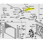 Upper Radiator Hose