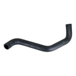 Lower Radiator Hose