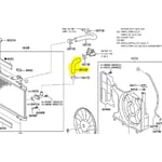 Lower Radiator Hose