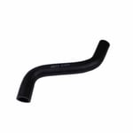 Lower Radiator Hose