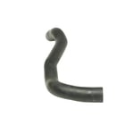 HOSE, RADIATOR, NO.2