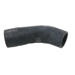 Center Radiator Hose