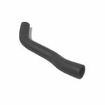 Lower Radiator Hose