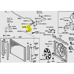 Center Radiator Hose
