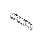 Exhaust Manifold Gasket