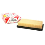 ELEMENT SUB-ASSY, AIR CLEANER FILTER