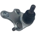 Ball Joints Up