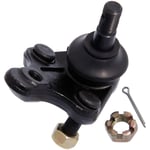 Ball Joints Down