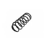Front Spring