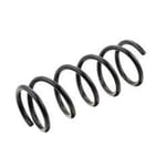 Rear Spring