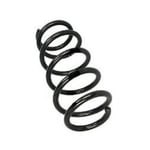 Rear Spring