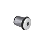 Rear Lower Control Arm Bushing