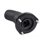 Rear Left Shock Mount