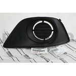 Right Fog Light Cover