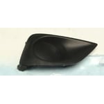 Left Fog Light Cover