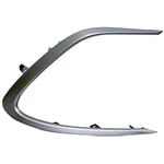 Right Fog Light Trim