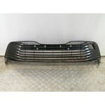 Grille Bumper