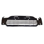 Grille Bumper