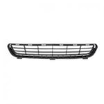 Grille Bumper