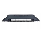 Grille Bumper
