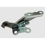 Right Hood Hinge