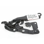 HINGE ASSY, HOOD, RH