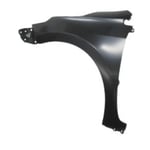 Front Left Fender