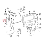 Left Trunk Strut