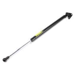 Right Trunk Strut