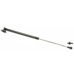 Trunk Struts