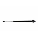 Left Trunk Strut