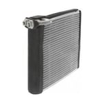 A/C Evaporator