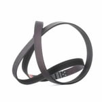 Dynamo Belt
