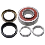 Rear Wheel Bearing