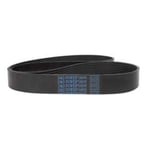Dynamo Belt