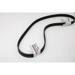 Engine Belt