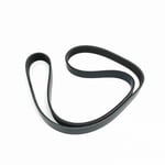 Dynamo Belt
