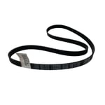 Engine Belt for 6-Cylinder Engine