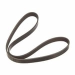 Dynamo Belt