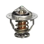 Thermostat Valve