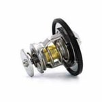 Thermostat Valve