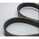 Engine Belt