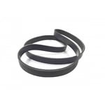 Engine Belt